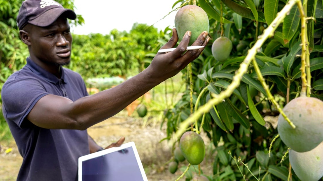 invest in sustainable agriculture